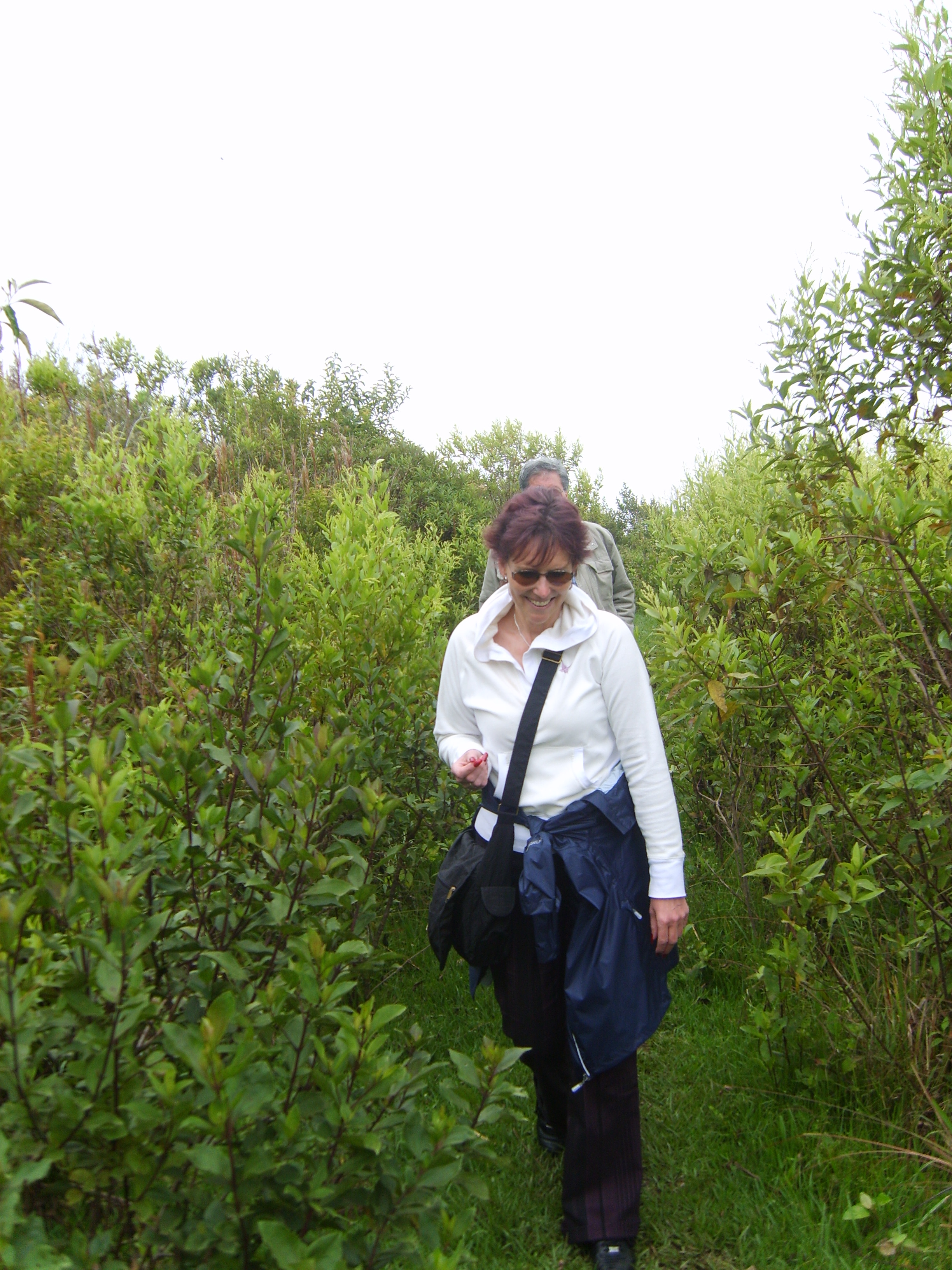 Parque Nacional Sajama